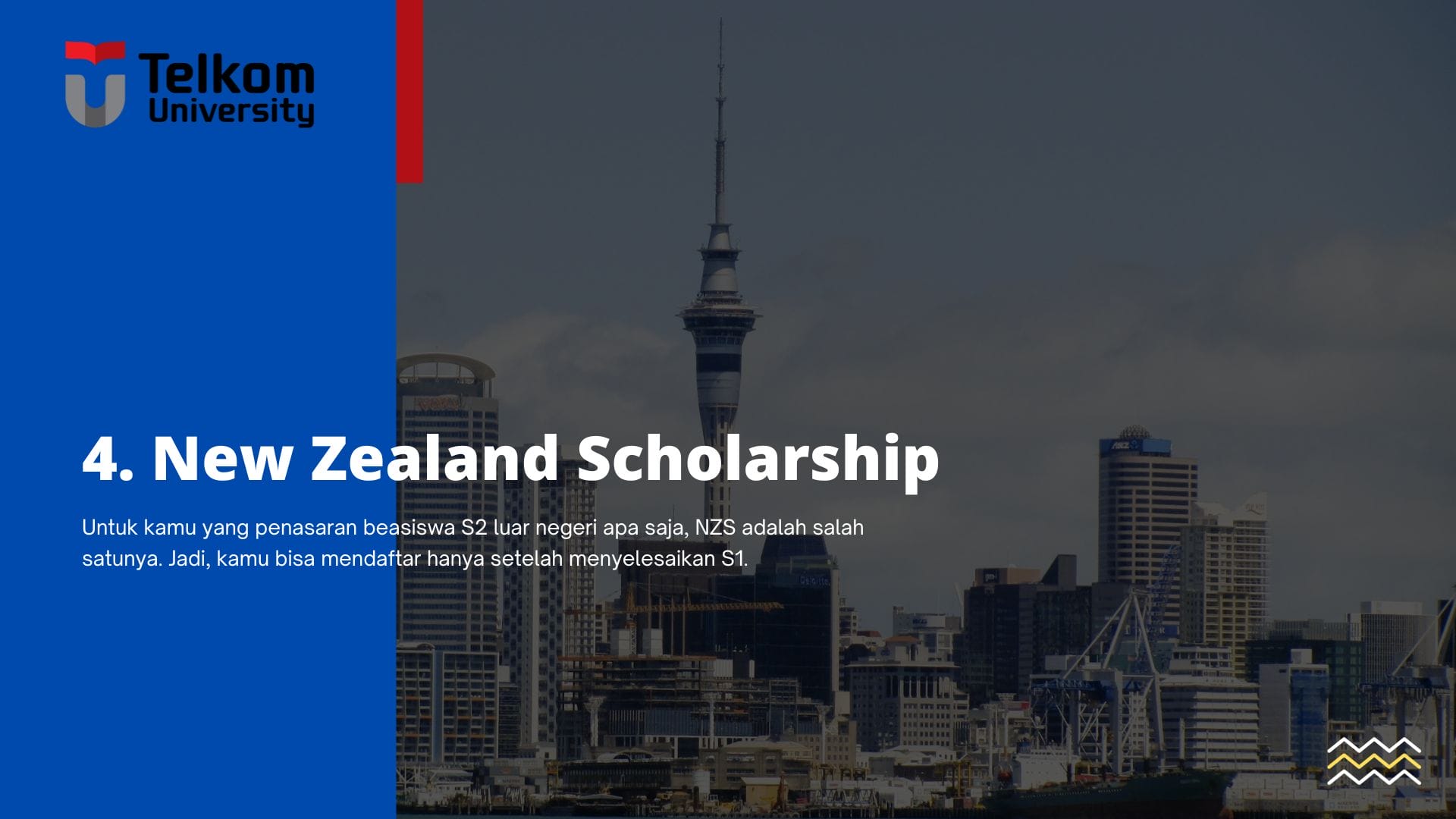 4. New Zealand Government Scholarship