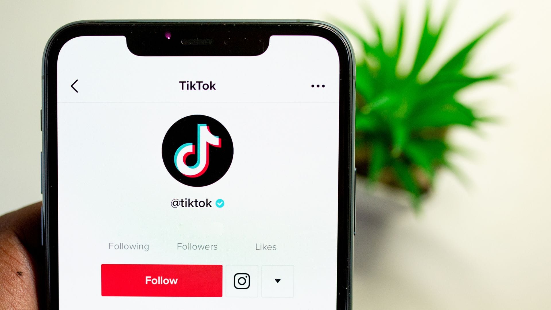 Dari Fomo Hingga Nolep, Ini Dia Bahasa Gaul Tiktok Terpopuler 2023