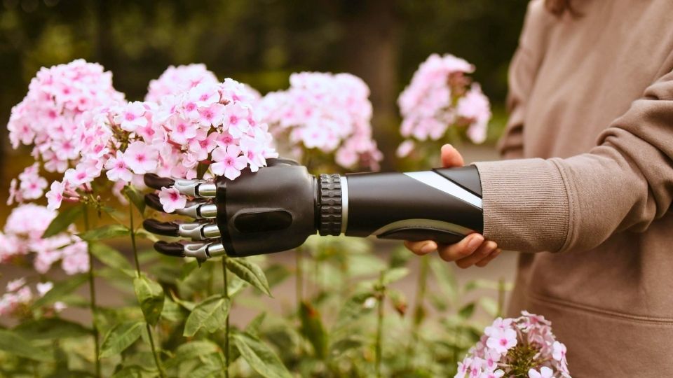 Peluang Karier S1 Teknik Biomedis di Medis & Teknologi